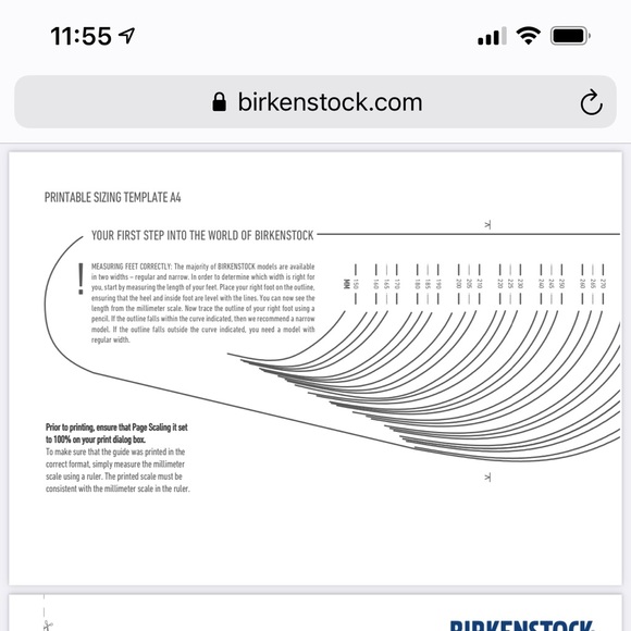Birkenstock Shoe Size Chart Download Printable PDF, 41 OFF